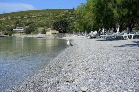 "Patra'S" Apartments Patra Poszidónio Kültér fotó